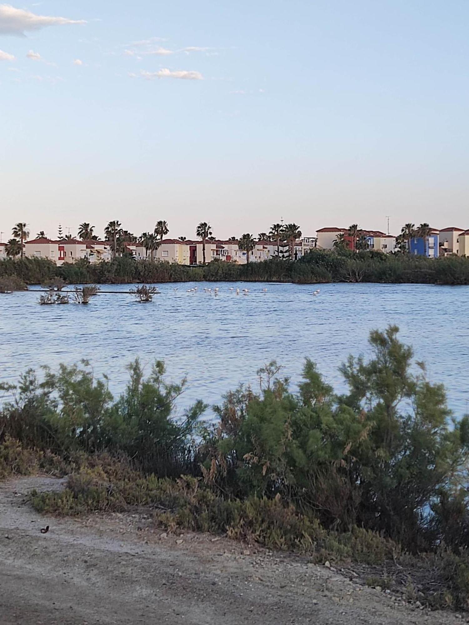 El Mirador De Torremari - Nudista - Vera Playa Екстер'єр фото